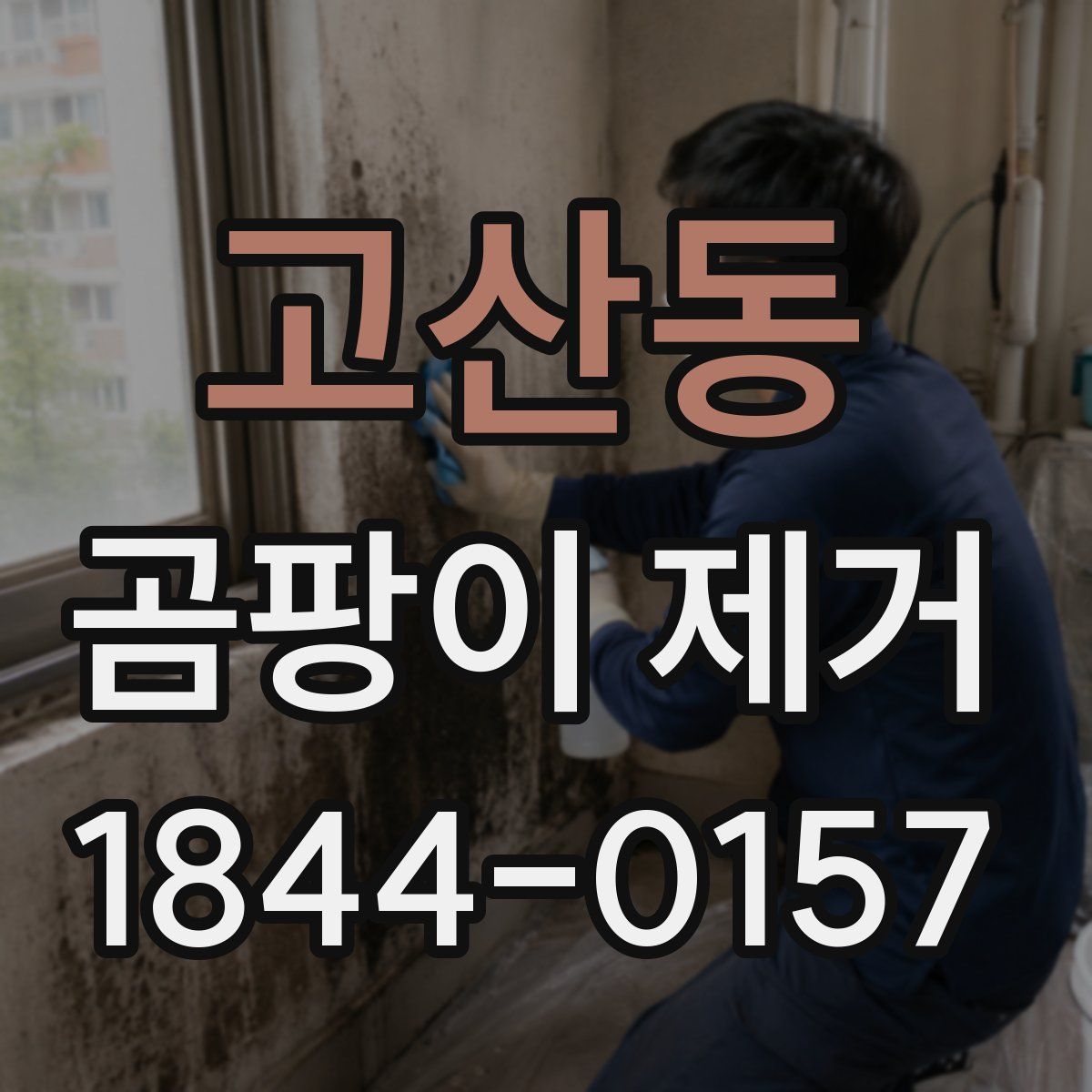 고산동 곰팡이 제거