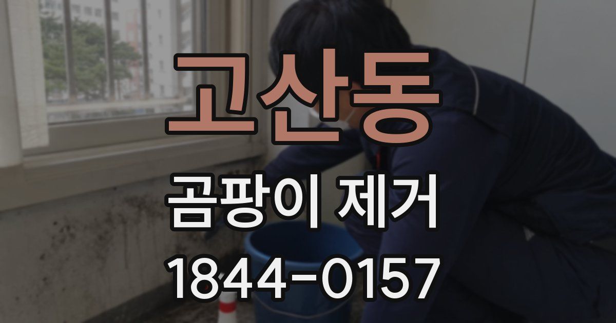 고산동 곰팡이 제거