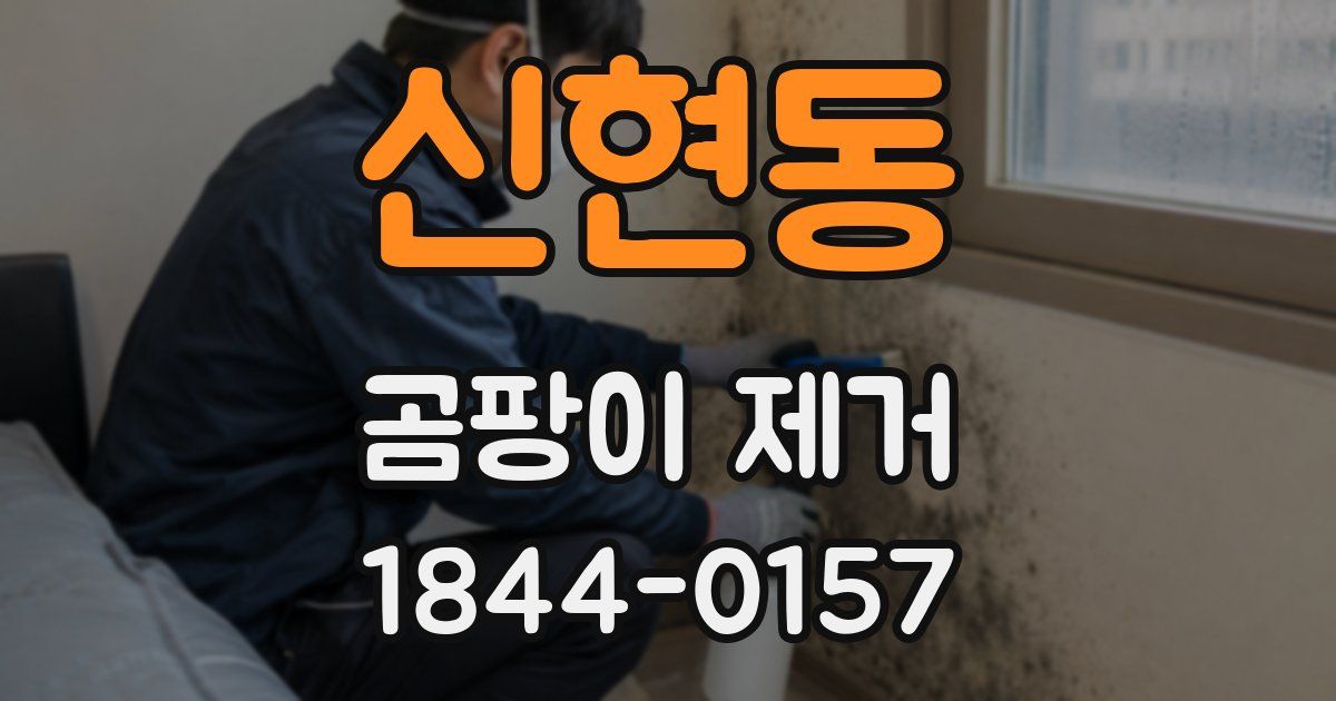 신현동 곰팡이 제거