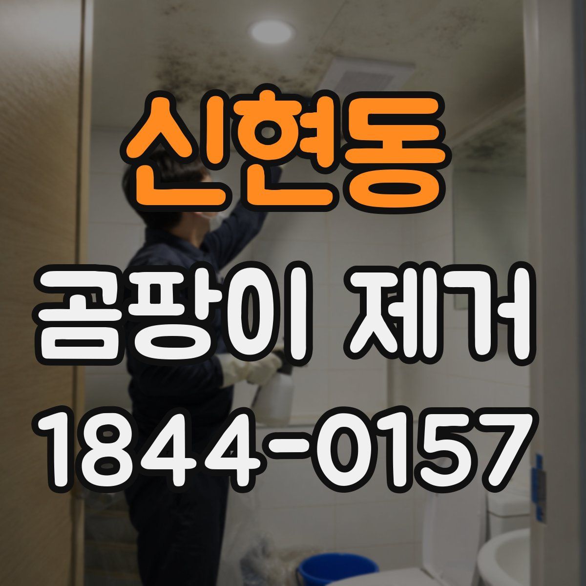 신현동 곰팡이 제거