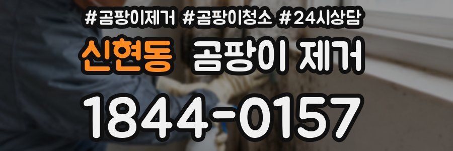신현동 곰팡이 제거