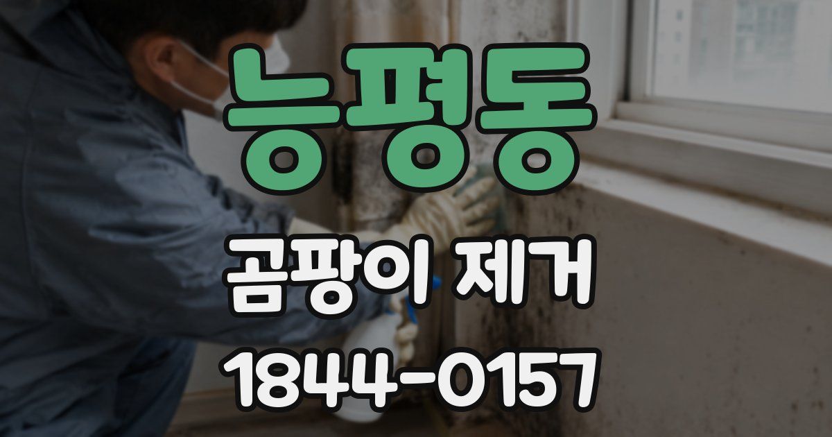능평동 곰팡이 제거