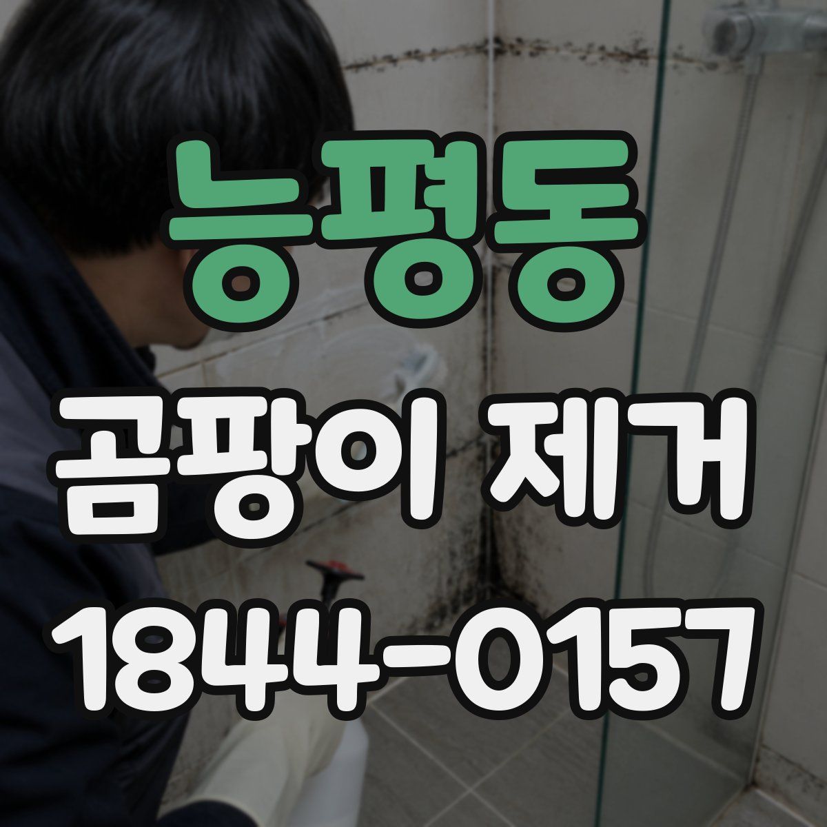 능평동 곰팡이 제거