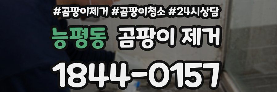 능평동 곰팡이 제거