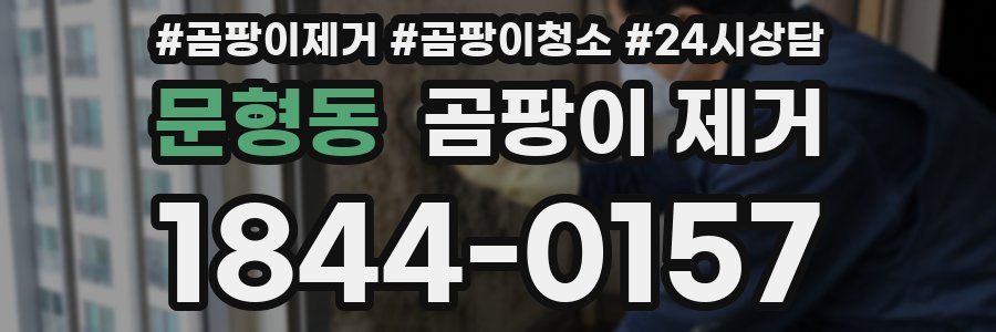문형동 곰팡이 제거