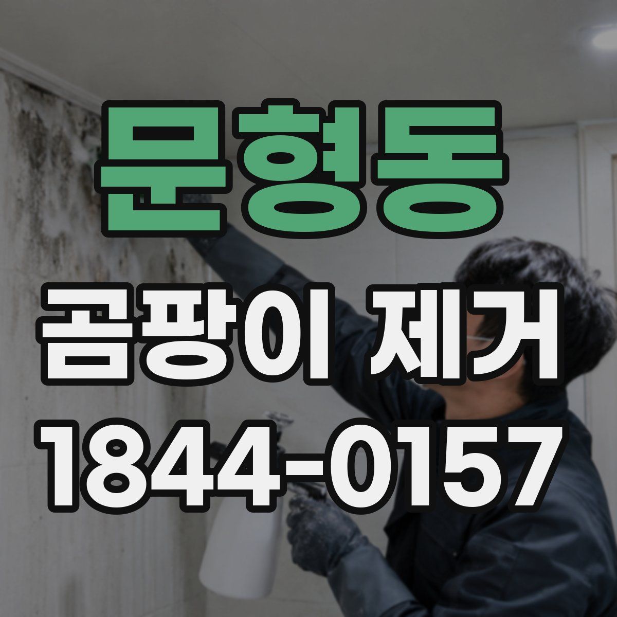 문형동 곰팡이 제거