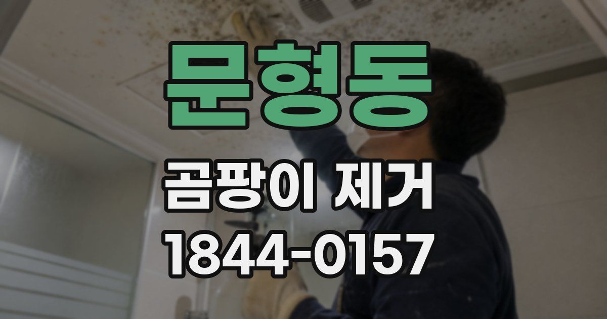 문형동 곰팡이 제거