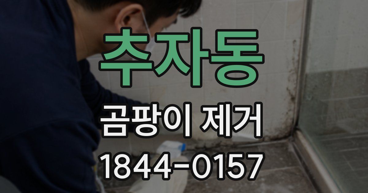 추자동 곰팡이 제거