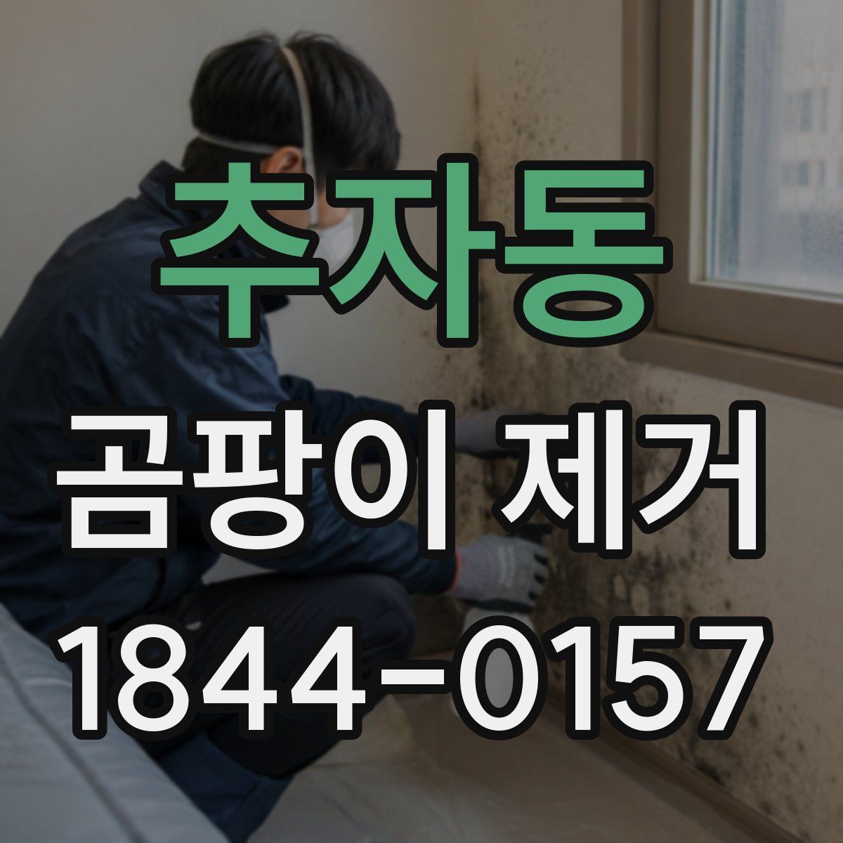 추자동 곰팡이 제거