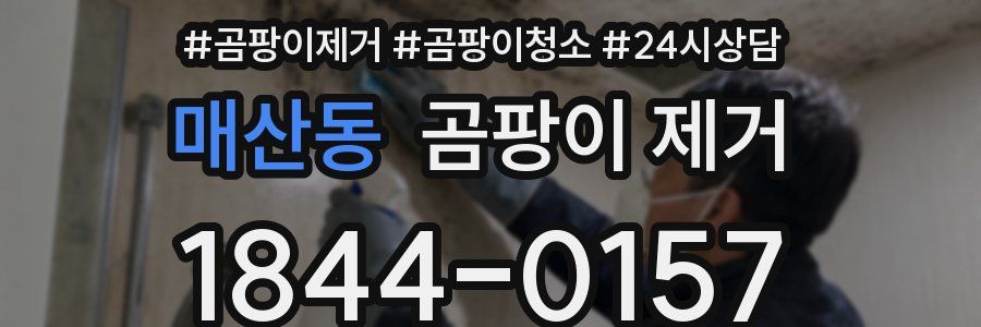 매산동 곰팡이 제거