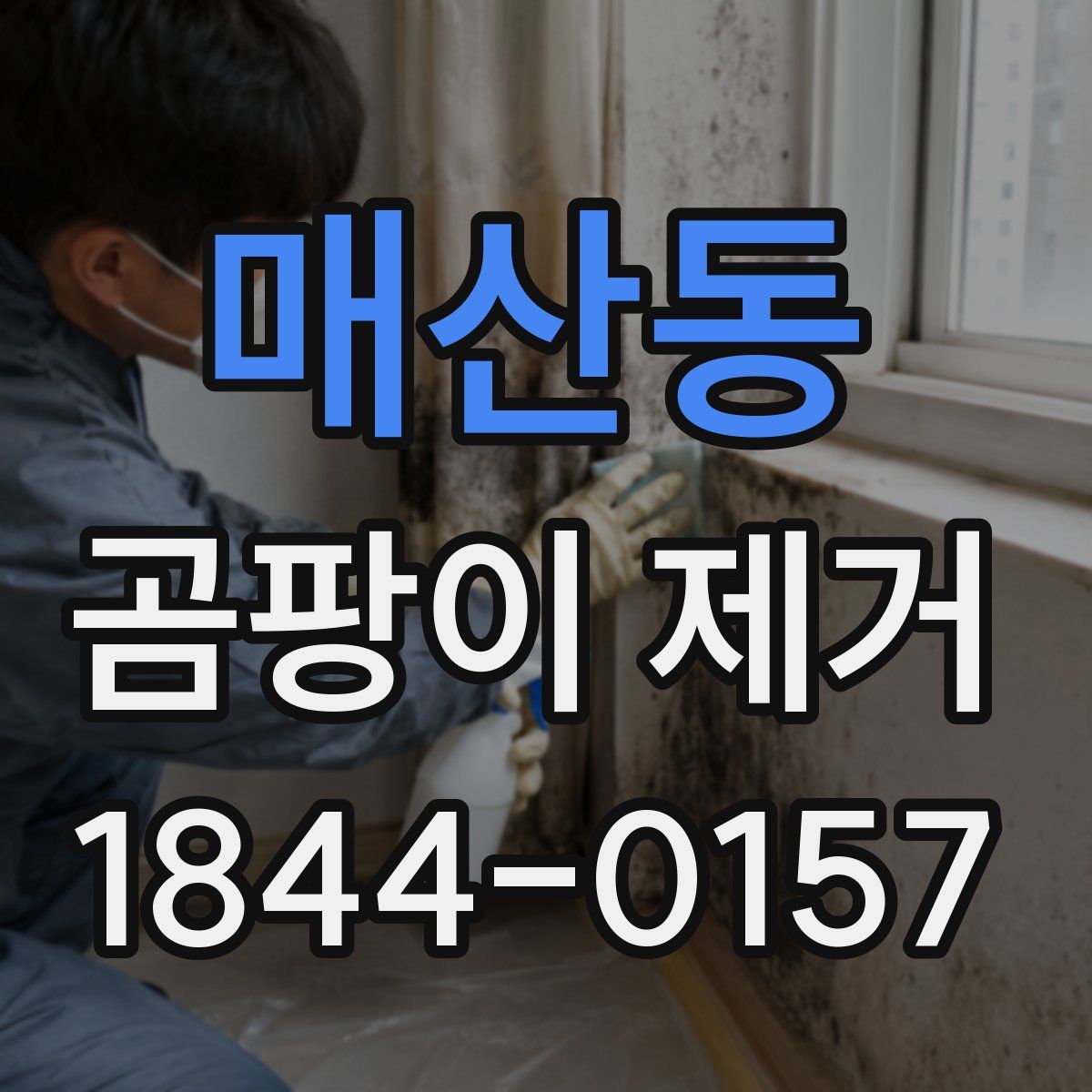 매산동 곰팡이 제거