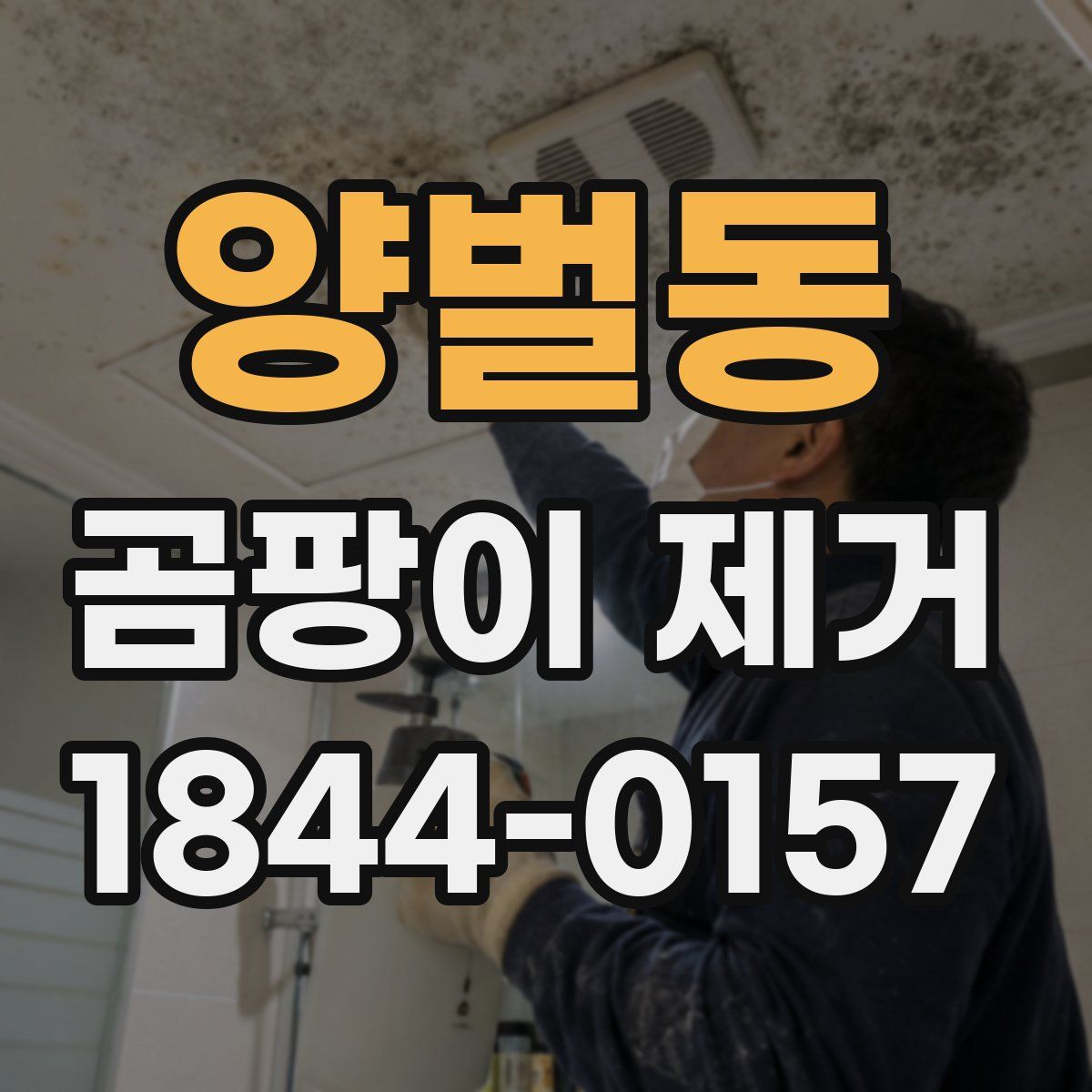 양벌동 곰팡이 제거