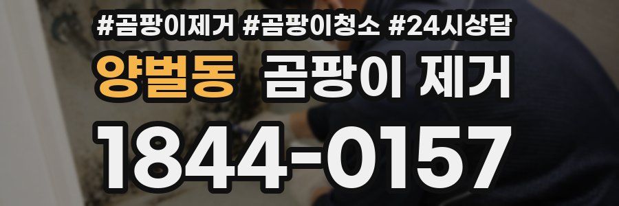 양벌동 곰팡이 제거