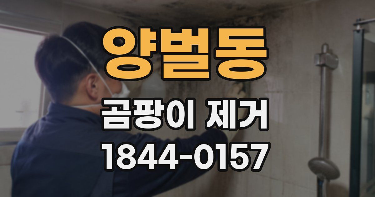 양벌동 곰팡이 제거