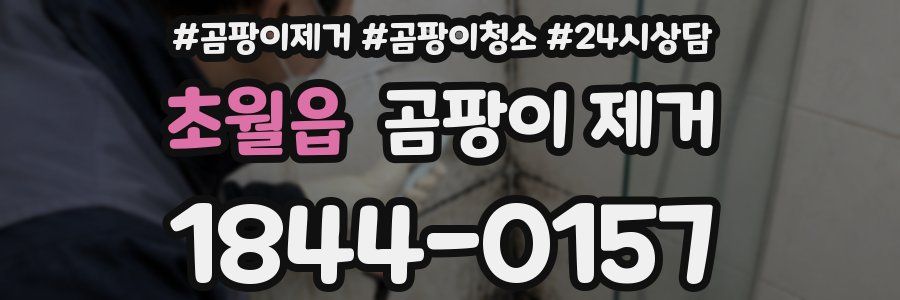 초월읍 곰팡이 제거