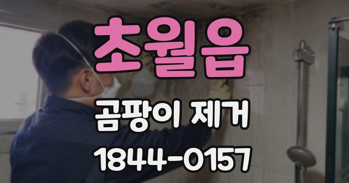 초월읍 곰팡이 제거