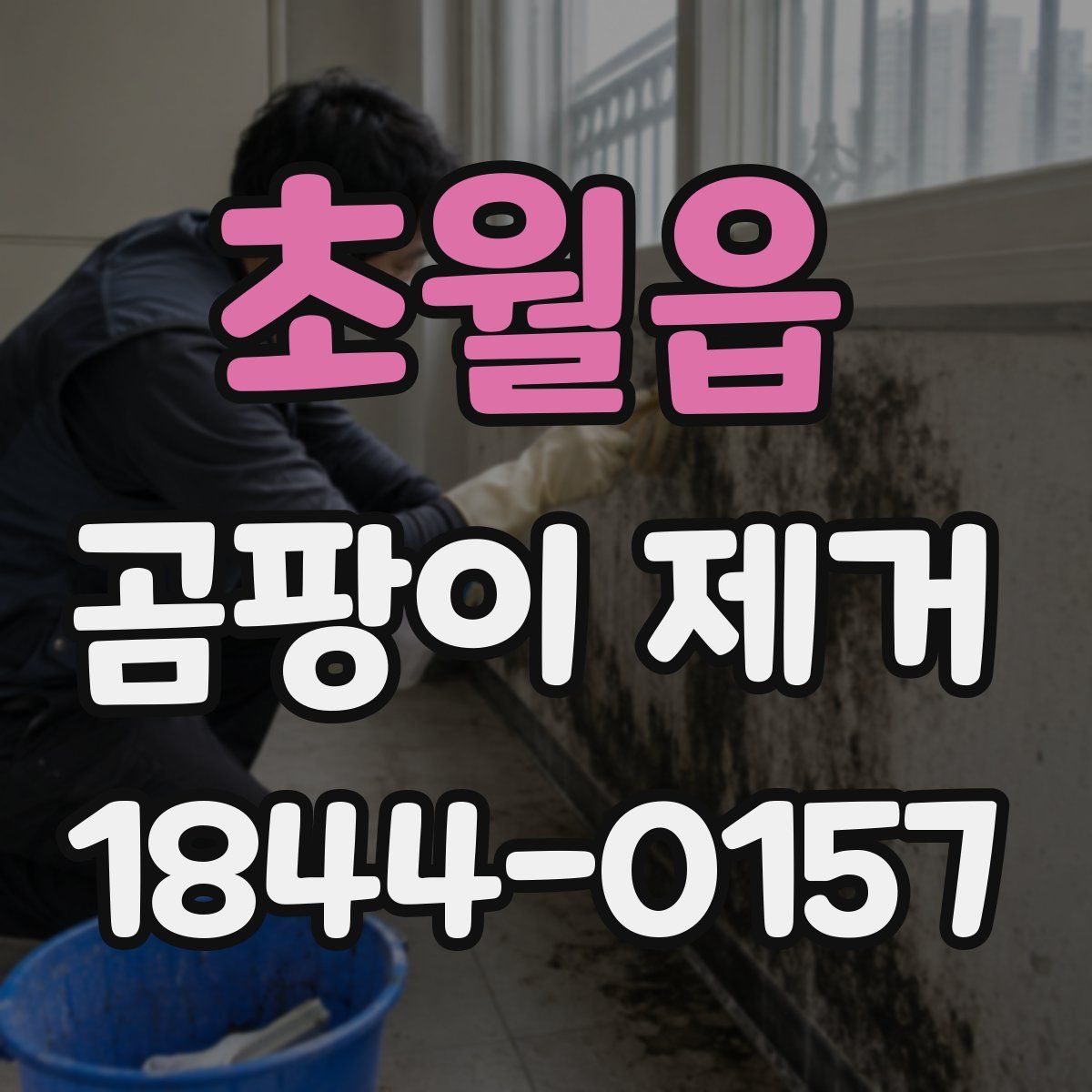 초월읍 곰팡이 제거