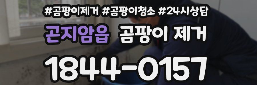 곤지암읍 곰팡이 제거