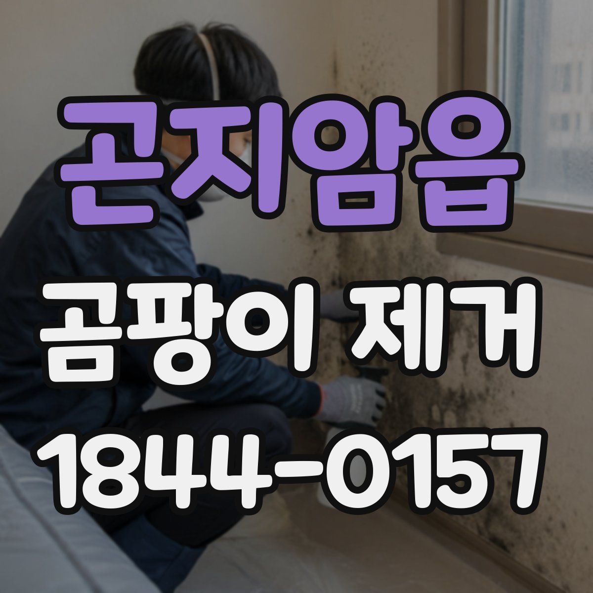 곤지암읍 곰팡이 제거