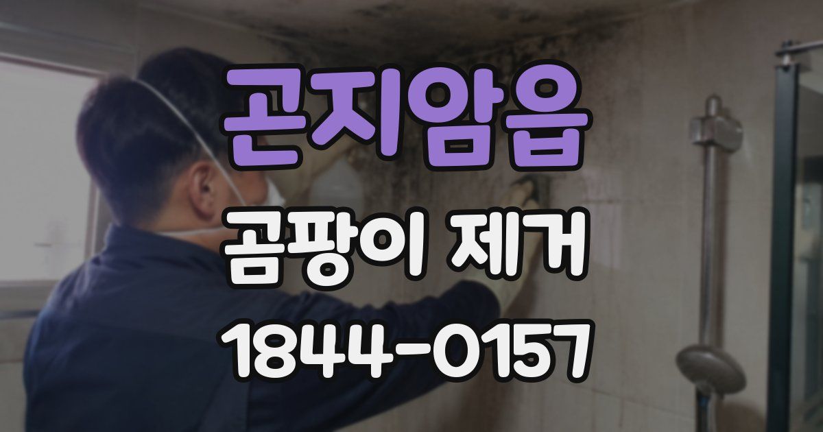 곤지암읍 곰팡이 제거