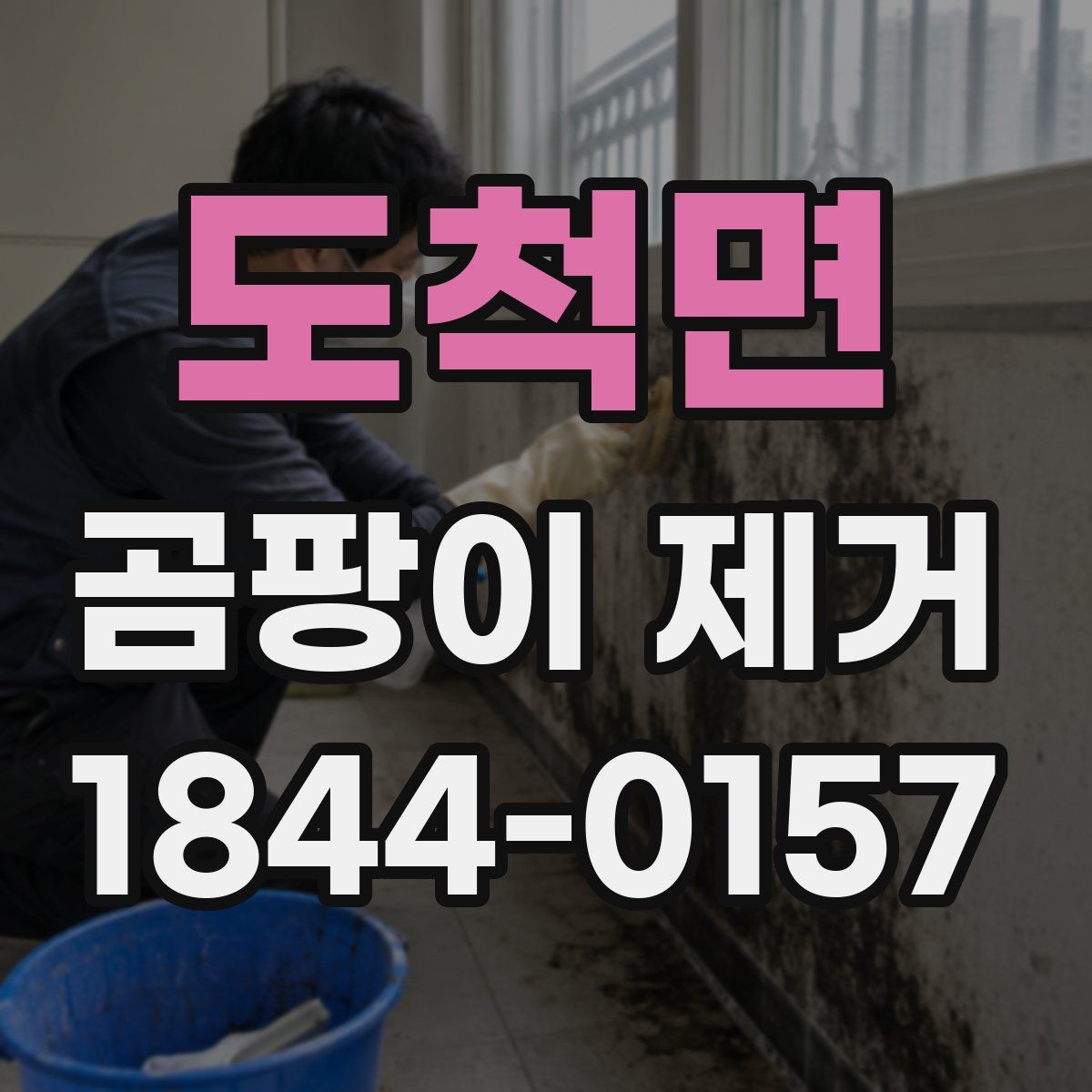 도척면 곰팡이 제거