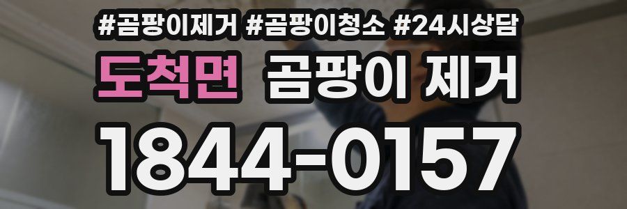 도척면 곰팡이 제거