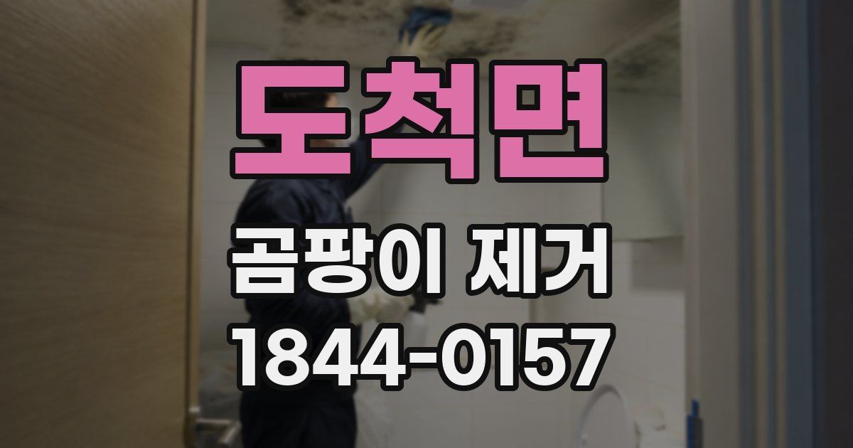 도척면 곰팡이 제거