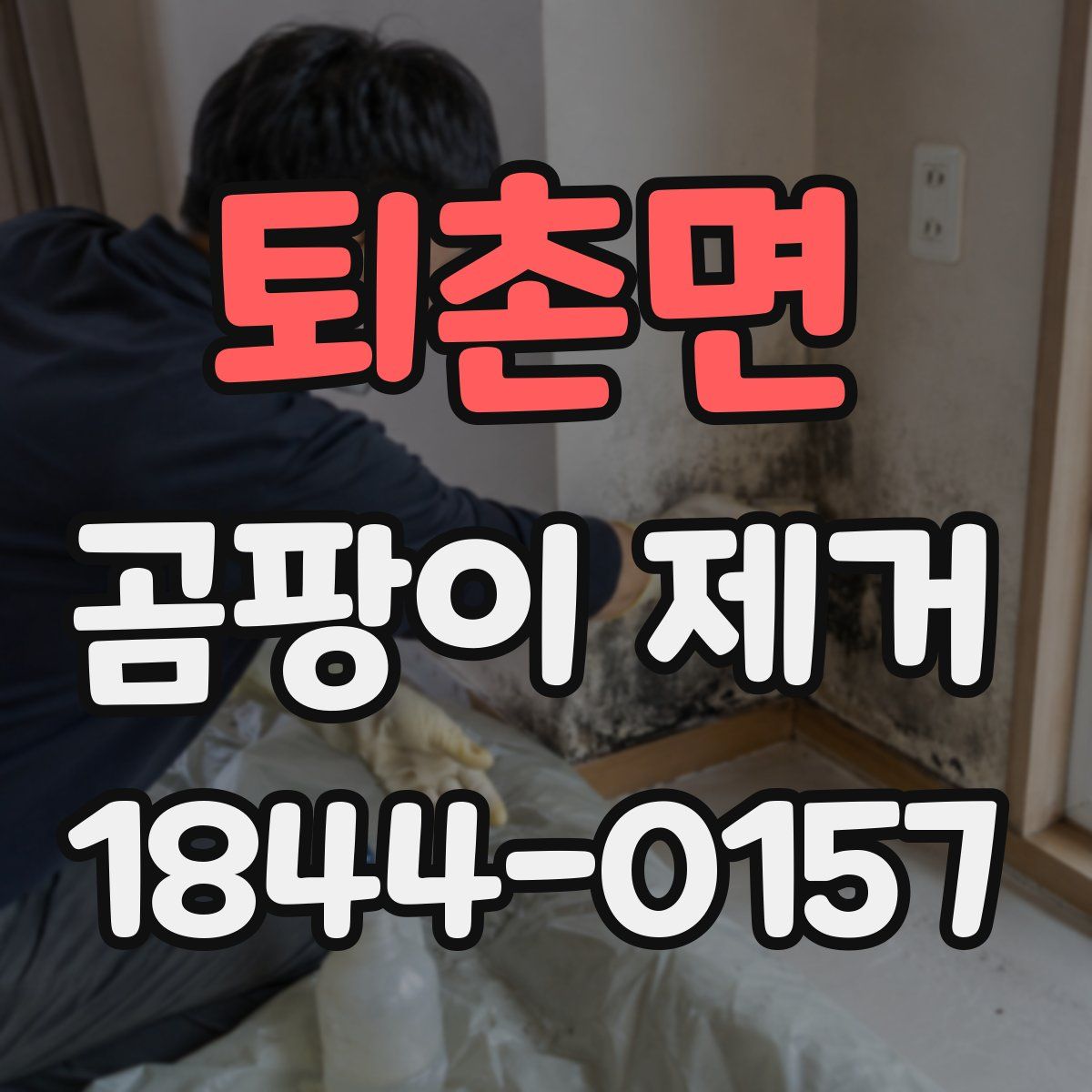 퇴촌면 곰팡이 제거