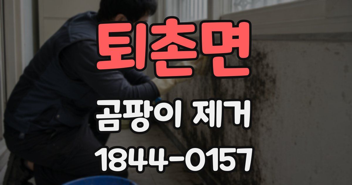 퇴촌면 곰팡이 제거