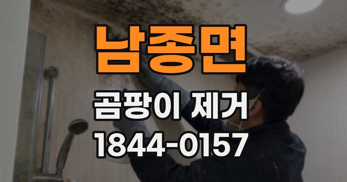 남종면 곰팡이 제거