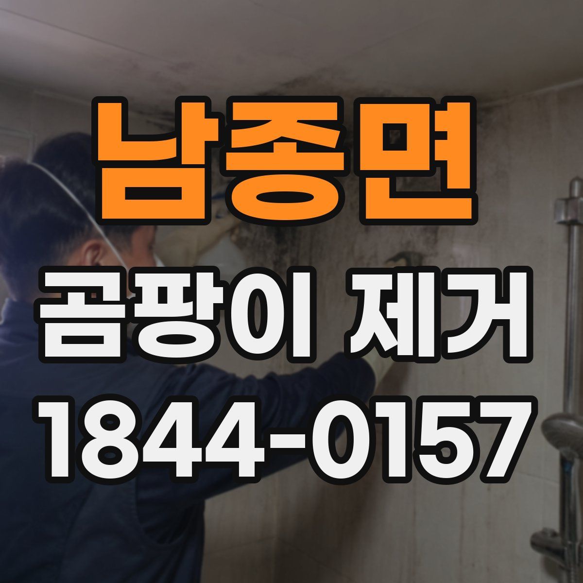 남종면 곰팡이 제거