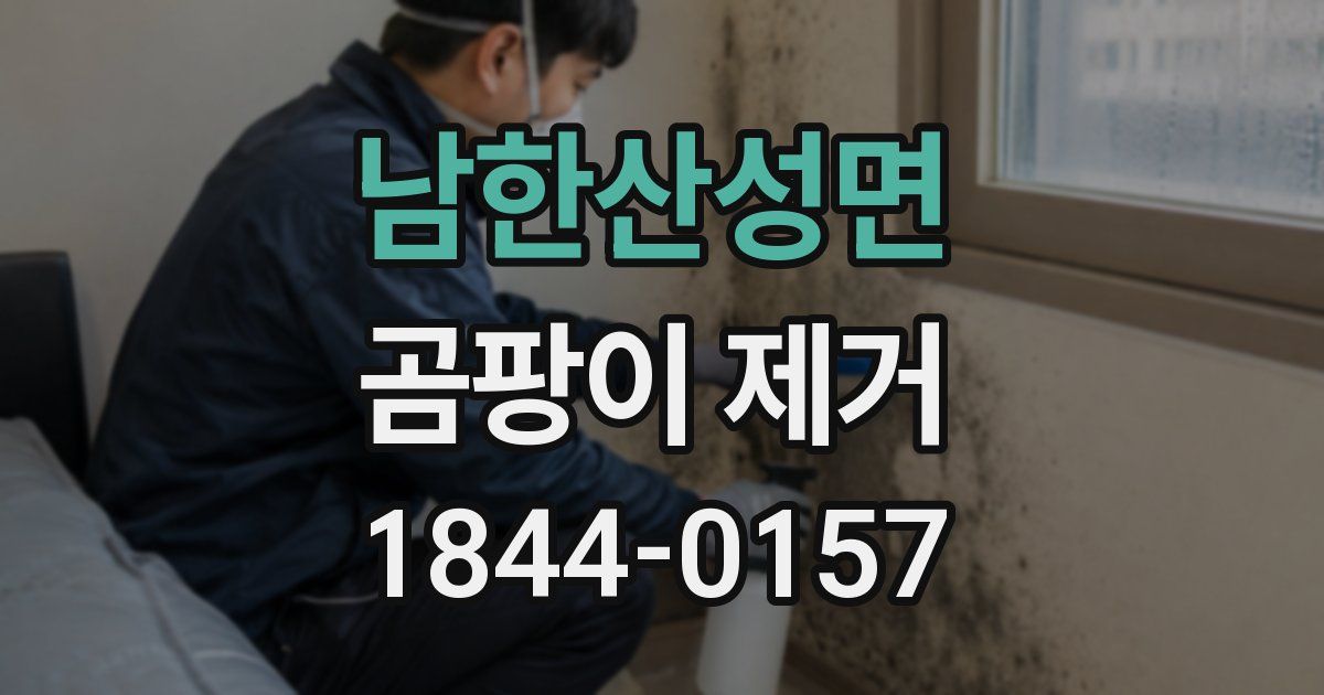 남한산성면 곰팡이 제거