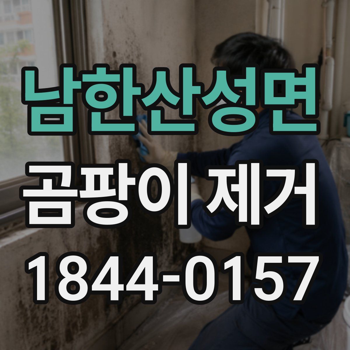 남한산성면 곰팡이 제거
