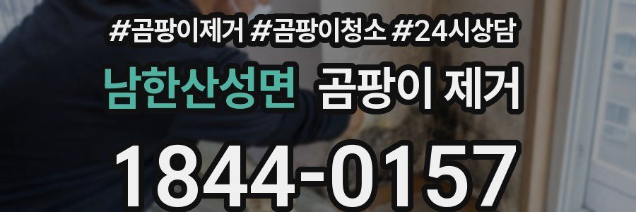 남한산성면 곰팡이 제거