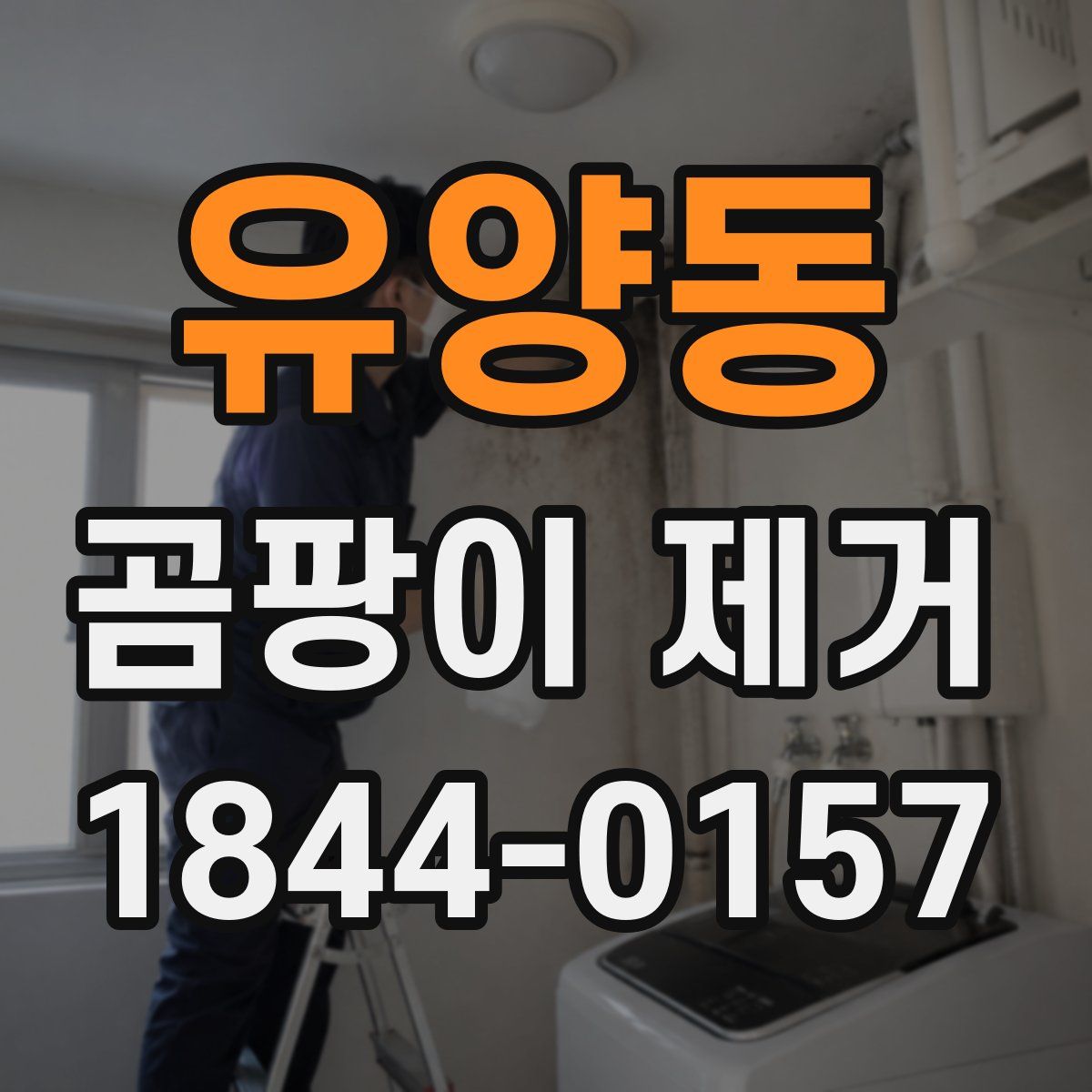 유양동 곰팡이 제거