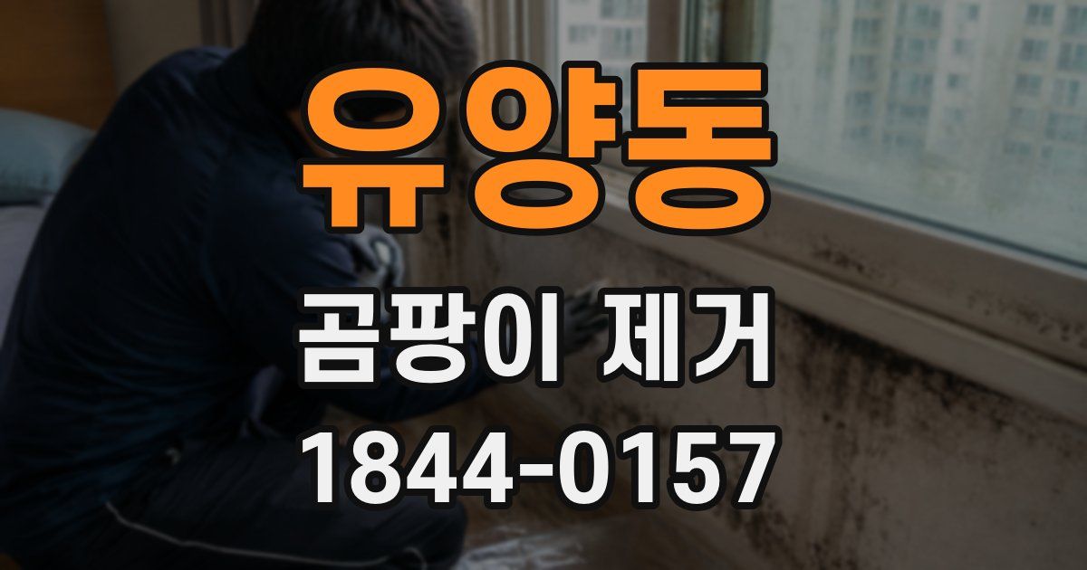 유양동 곰팡이 제거