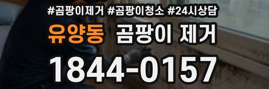 유양동 곰팡이 제거
