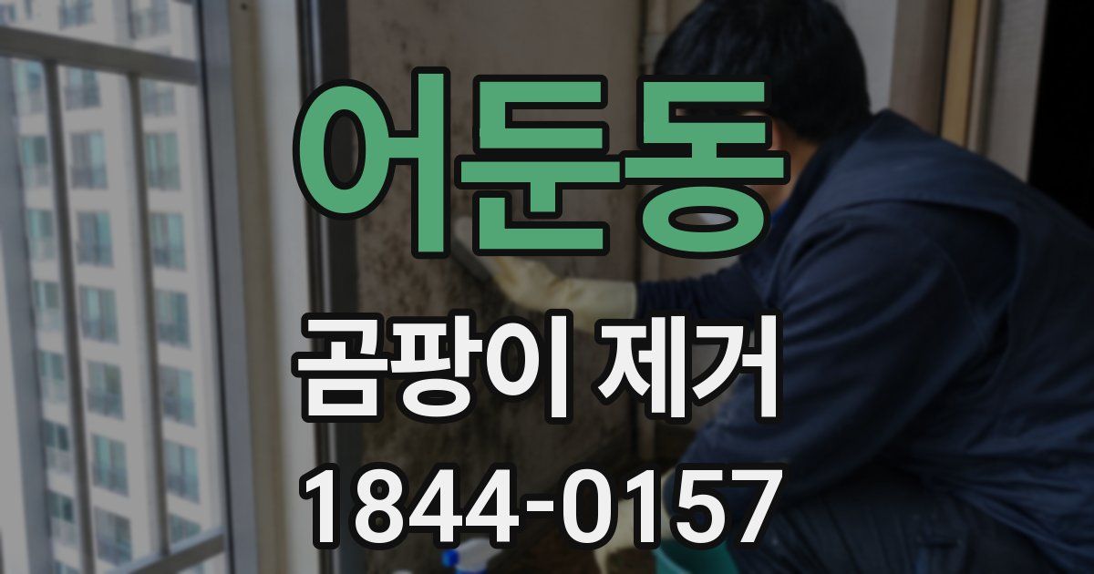 어둔동 곰팡이 제거