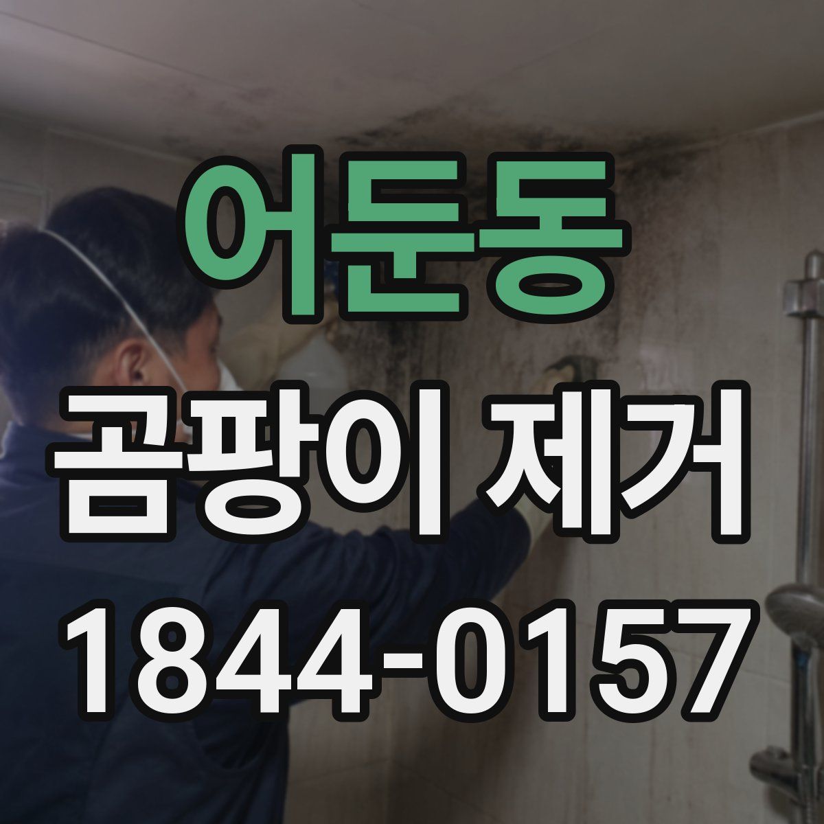 어둔동 곰팡이 제거