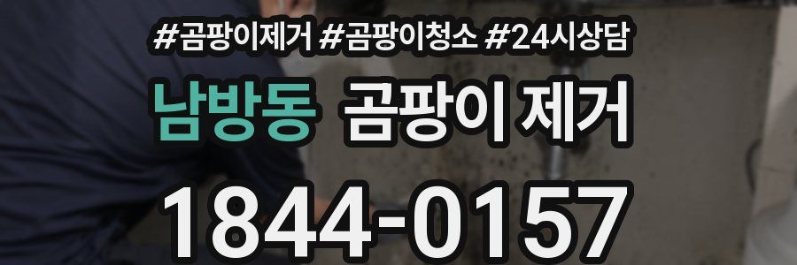 남방동 곰팡이 제거