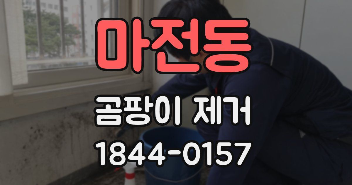 마전동 곰팡이 제거