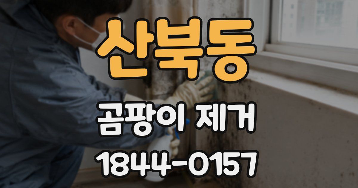 산북동 곰팡이 제거