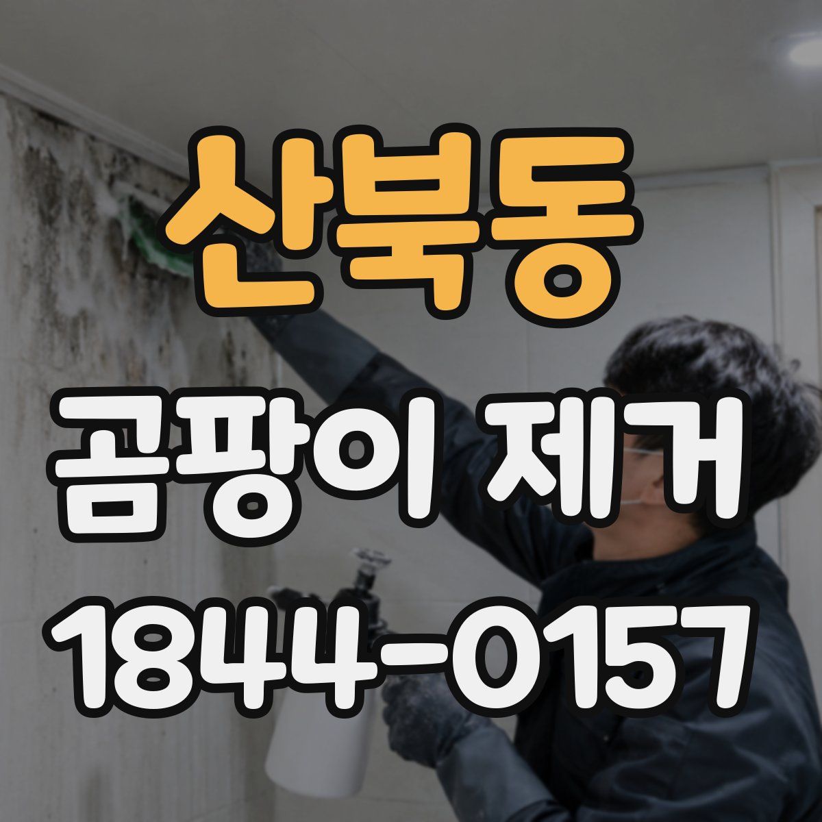 산북동 곰팡이 제거