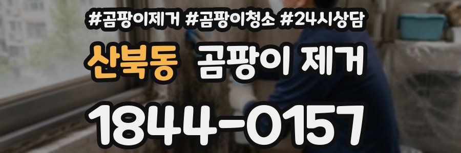 산북동 곰팡이 제거