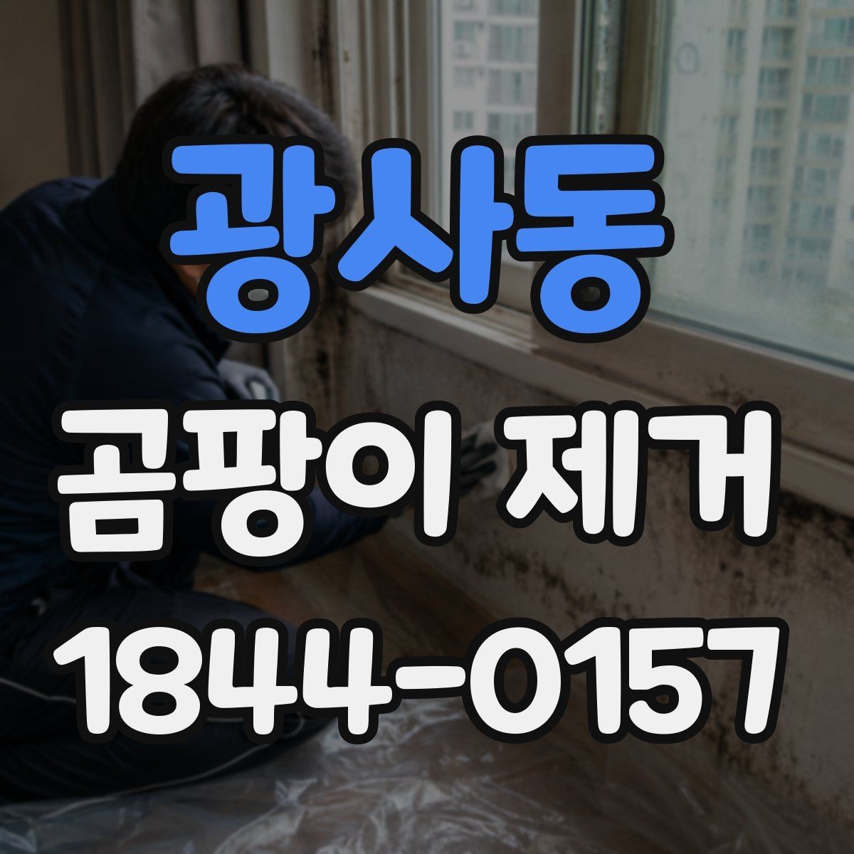 광사동 곰팡이 제거 습기 많은 집에서 먼저 볼 체크리스트