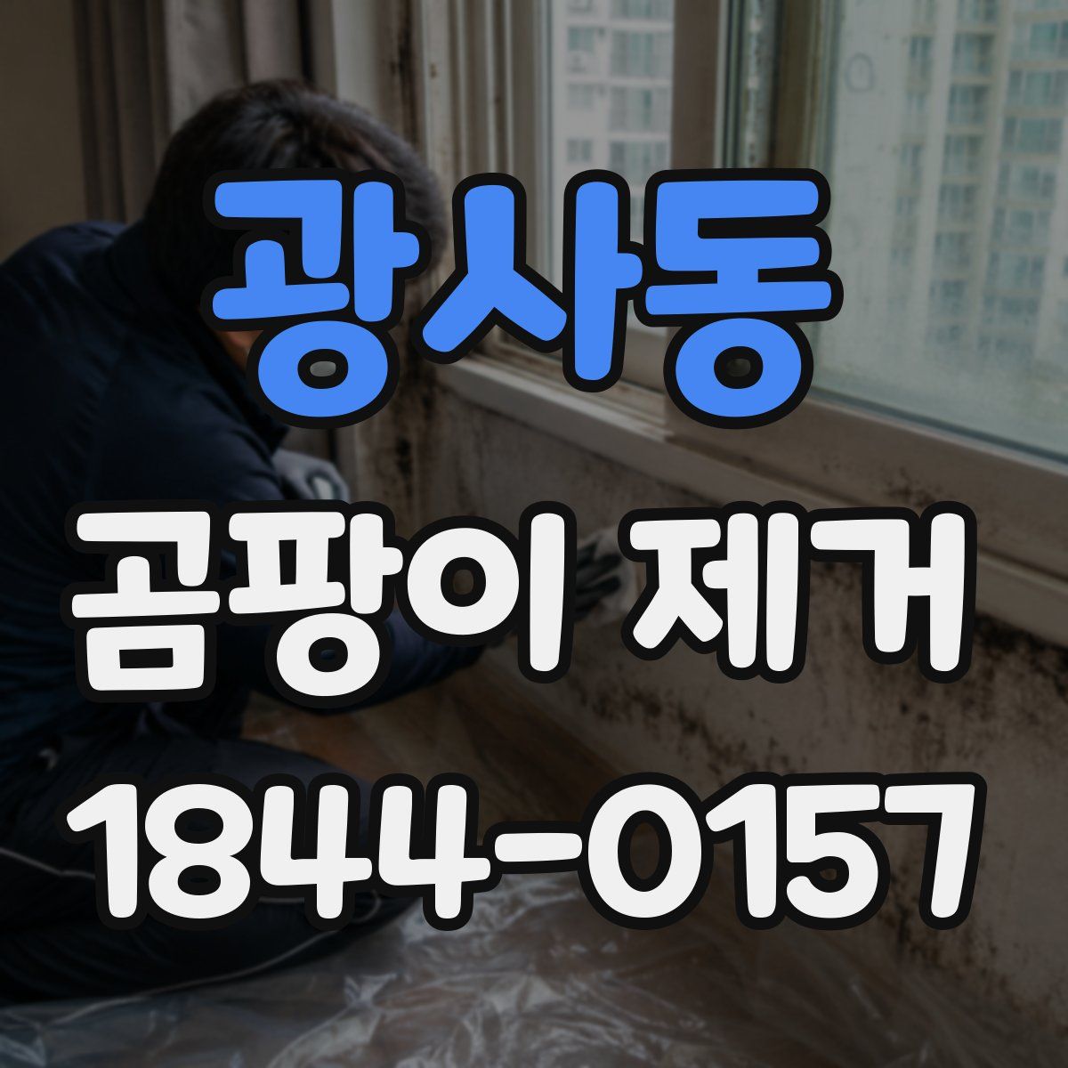 광사동 곰팡이 제거