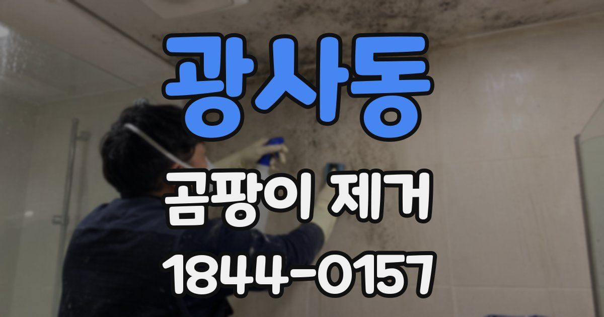 광사동 곰팡이 제거