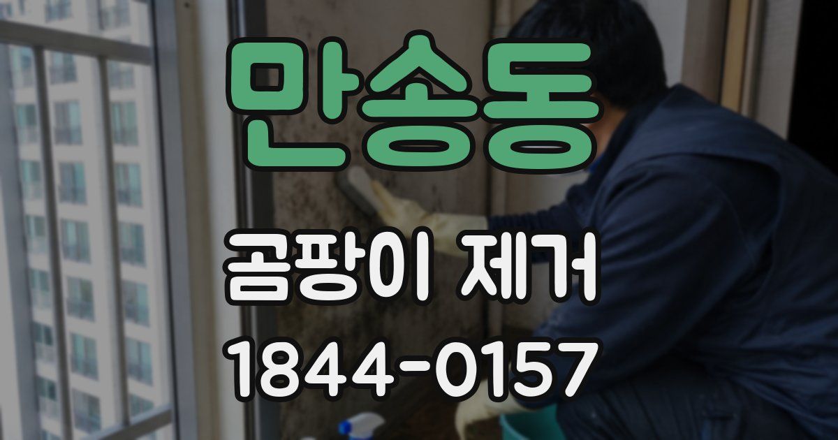 만송동 곰팡이 제거