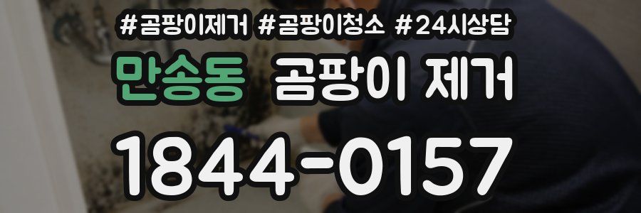 만송동 곰팡이 제거