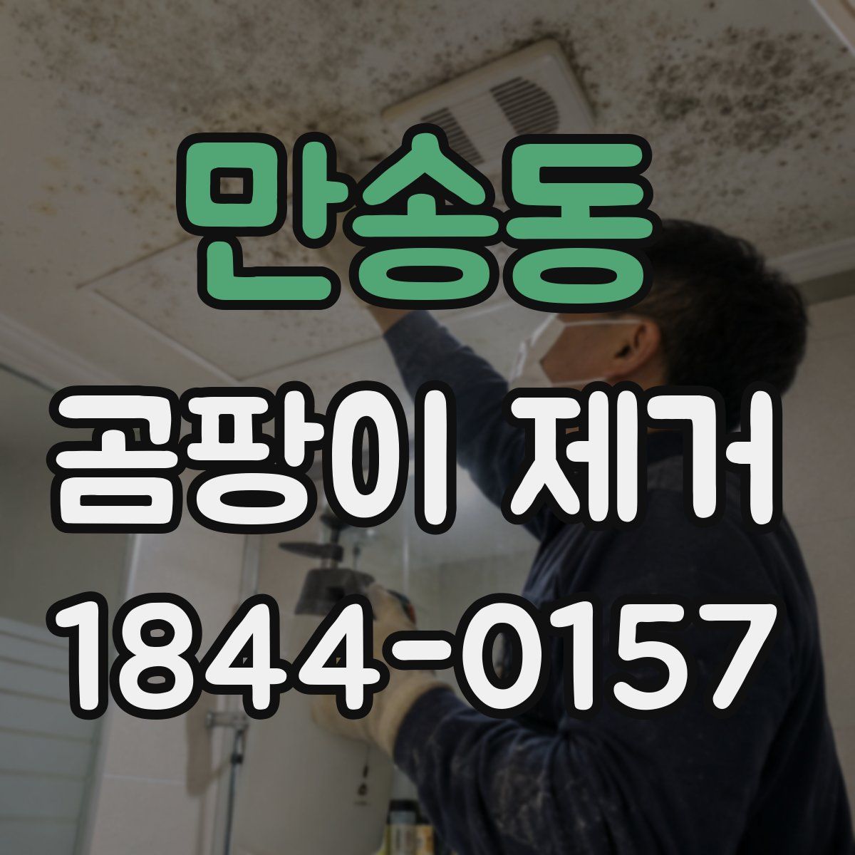 만송동 곰팡이 제거